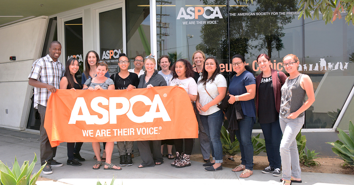 The ASPCA in Los Angeles, California