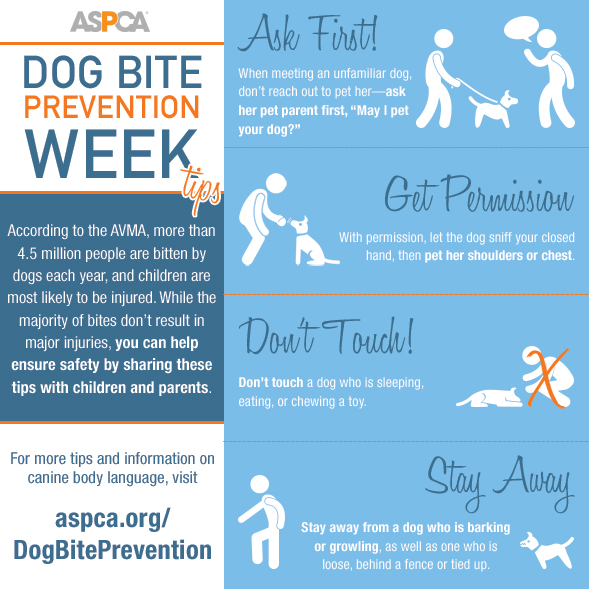 It's Dog Bite Prevention Week Read Our Safety Tips ASPCA