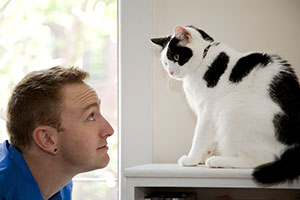 Man looks up at white cat with black spots