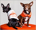 Join Team ASPCA - Pet Care Ad Join Team ASPCA - Pet Care Ad