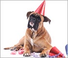 Donate Your Birthday - Pet Care Ad Donate Your Birthday - Pet Care Ad