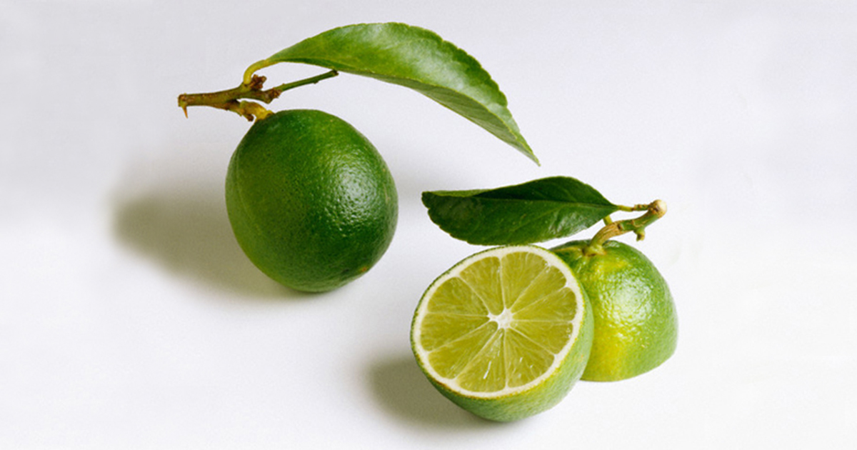 are lemon and lime poisonous to dogs