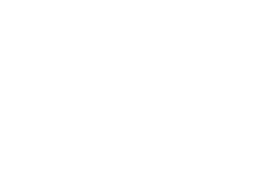 Drawing of a cat and a carrier.