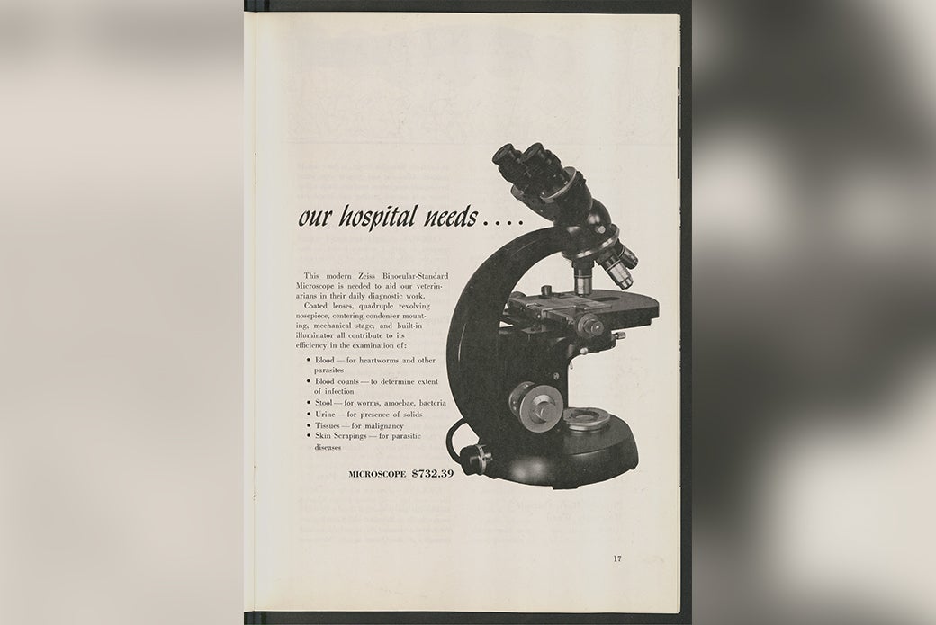 Post image 7