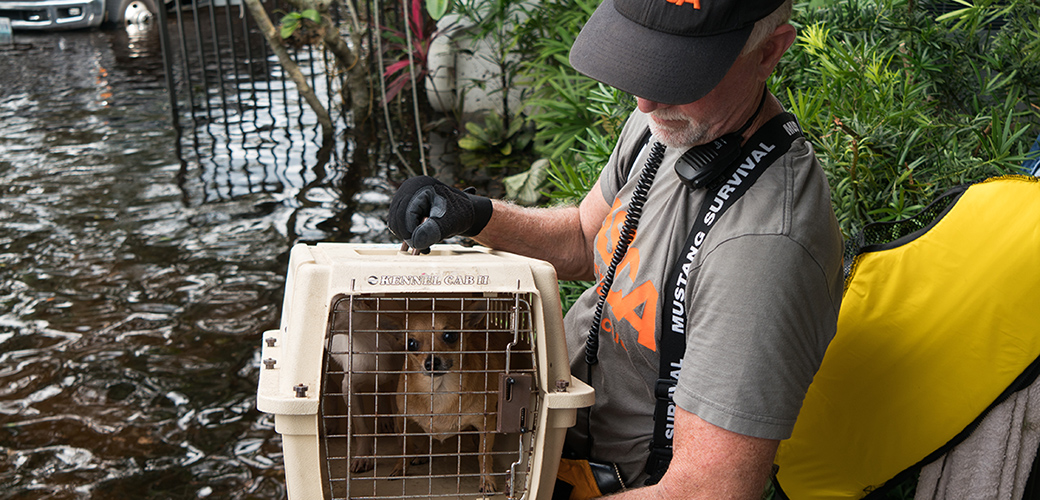 ASPCA volunteer holding a dog in a carrier
