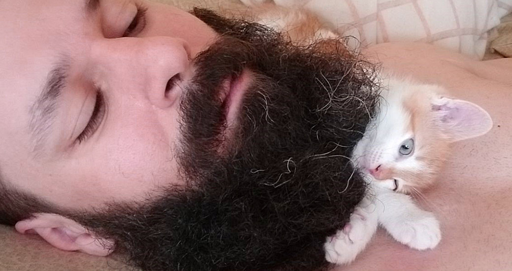 Bonny sleeping under a beard