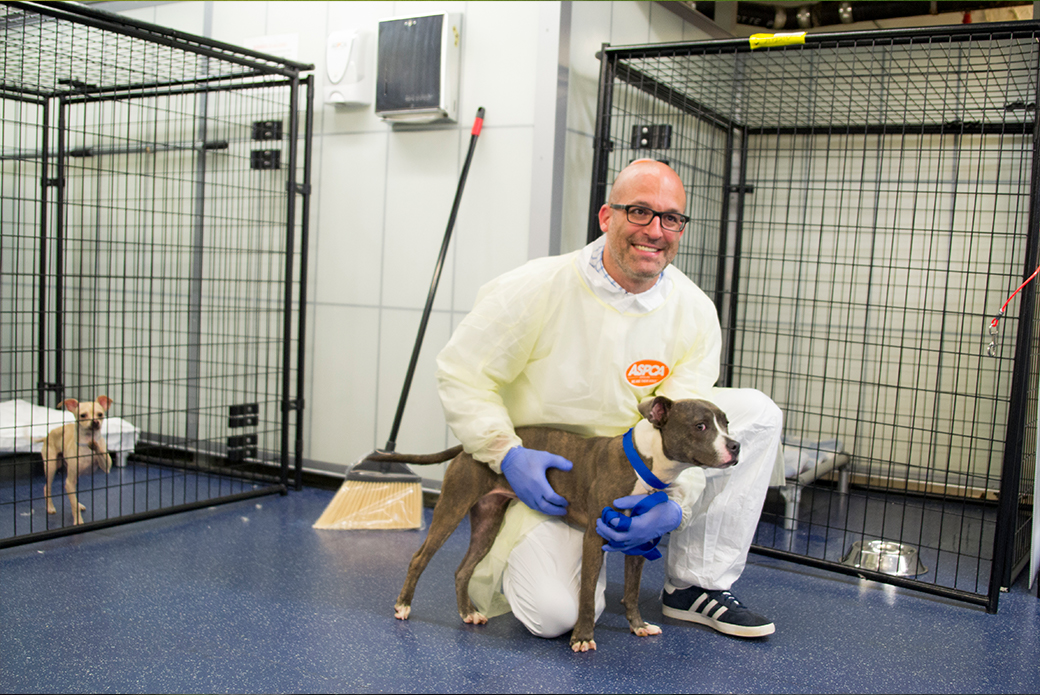 ASPCA President & CEO, Matt Bershadker spend some time with the new arrivals.