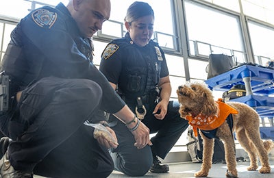 Police officers and a dog