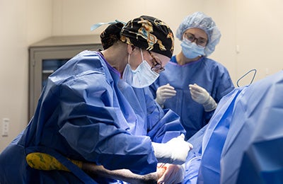 Two medical professionals performing a veterinary surgery