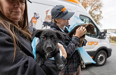 Two puppies being held by ASPCA team members