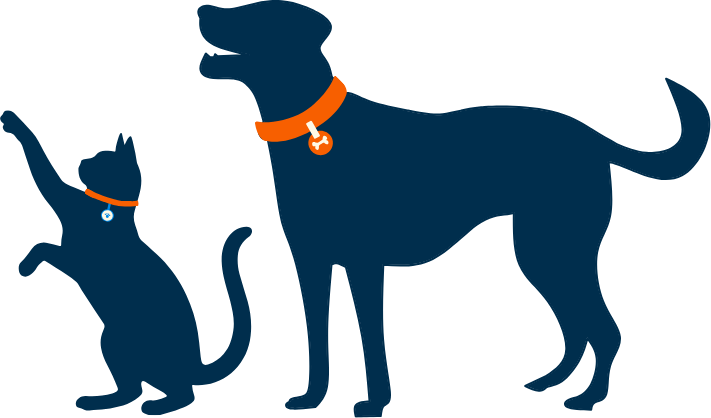 Cat and dog