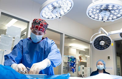 A veterinary surgeon operating in a medical center