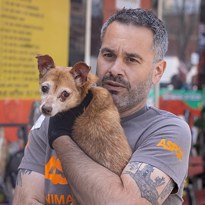 A small brown dog with an injured eye is being held and comforted by an ASPCA team member