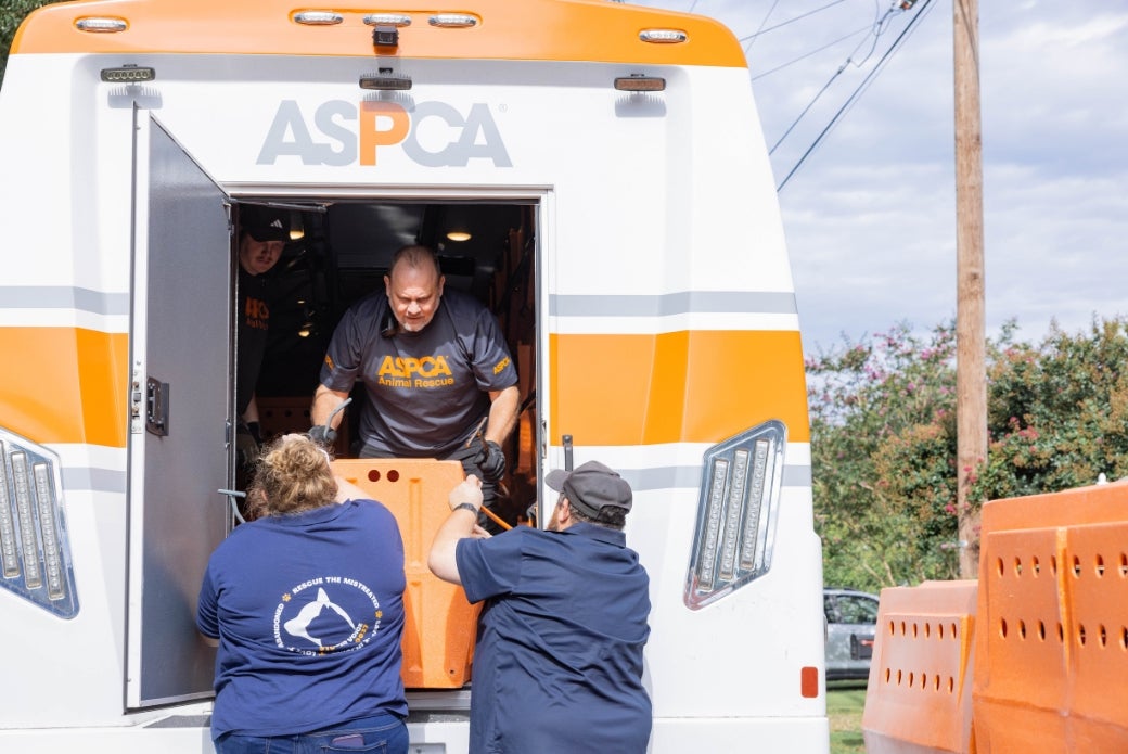 ASPCA van loading in rescued dogs