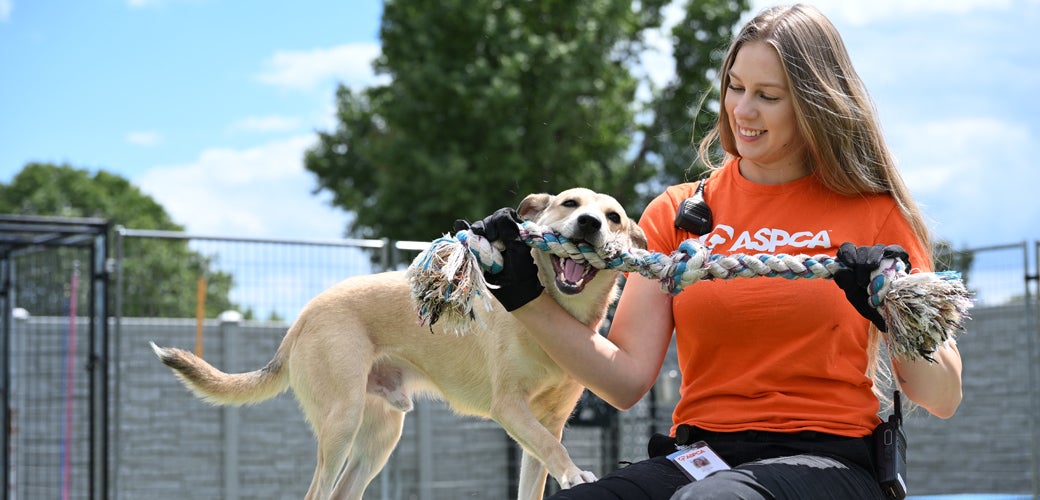Volunteer Opportunities at the ASPCA Cruelty Recovery Center
