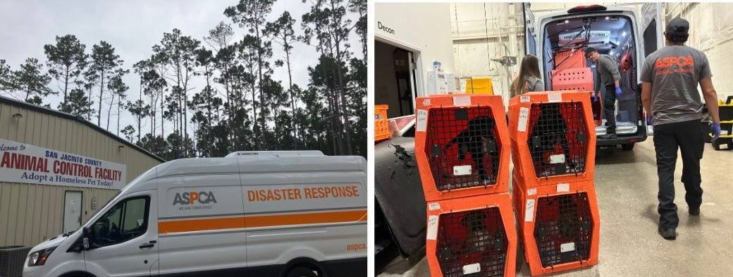 ASPCA relocation efforts following the floods in San Jacinto County, Texas.