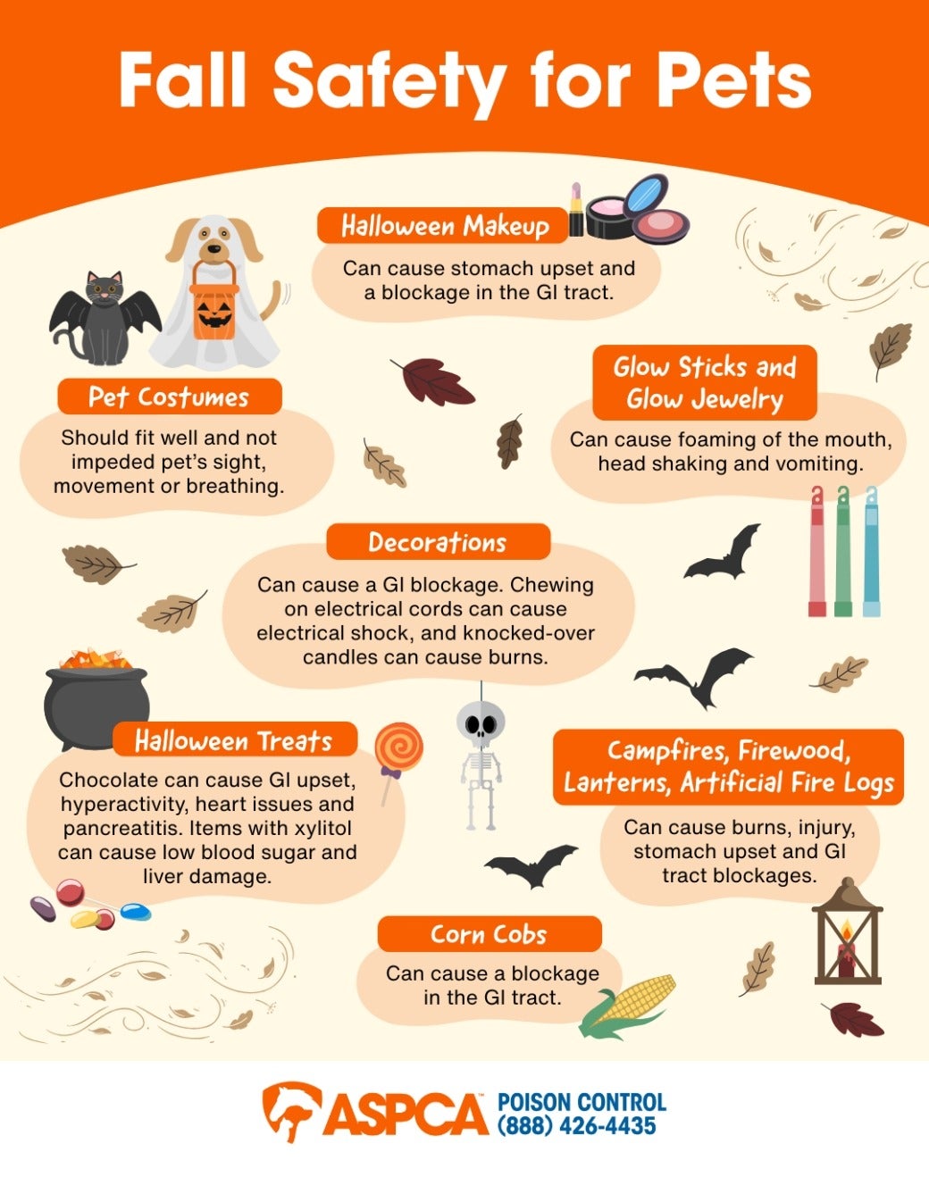 Fall safety infographic