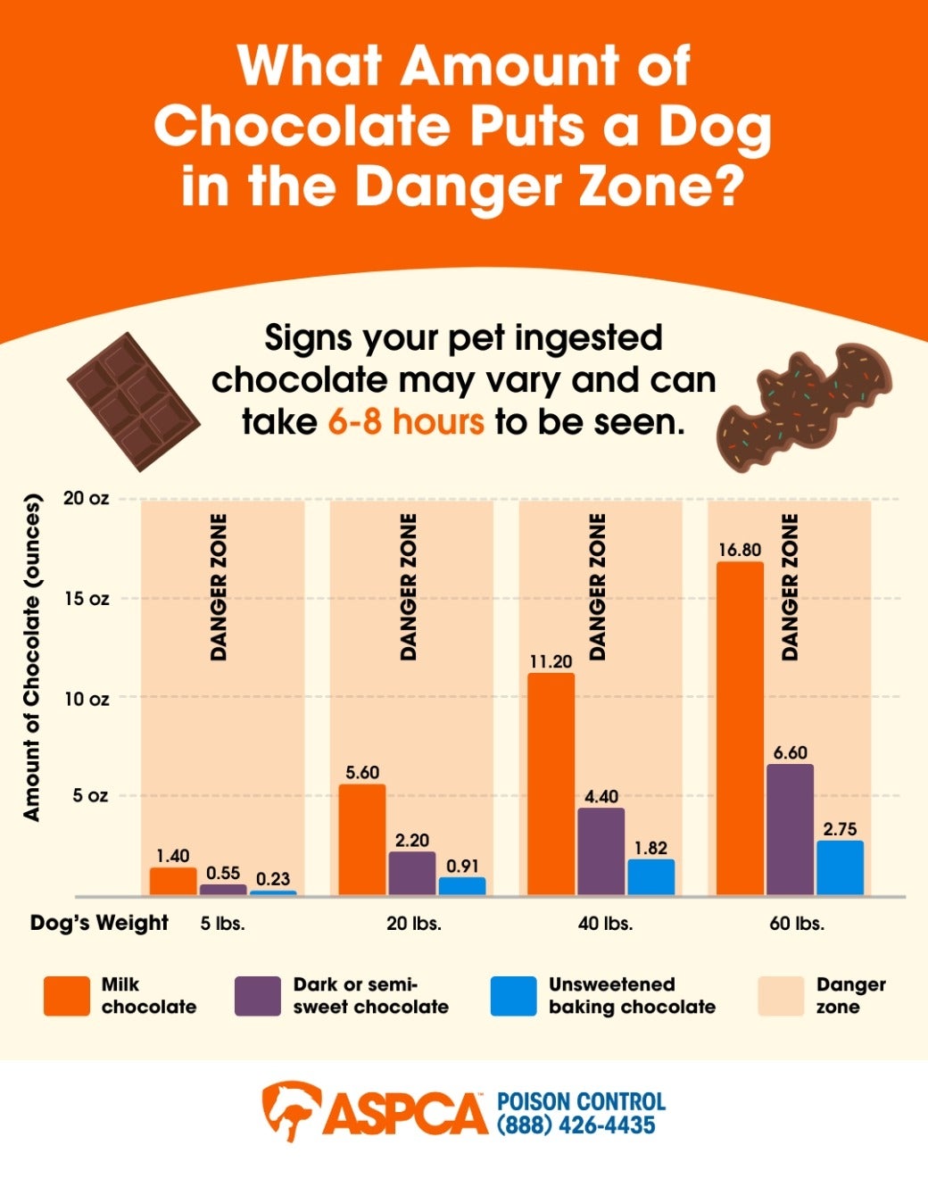 Halloween Chocolate Dangers Infographic