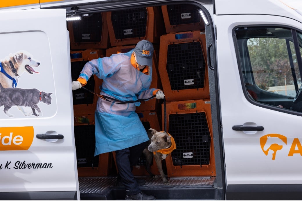 Haley offloading Maisie Belle.