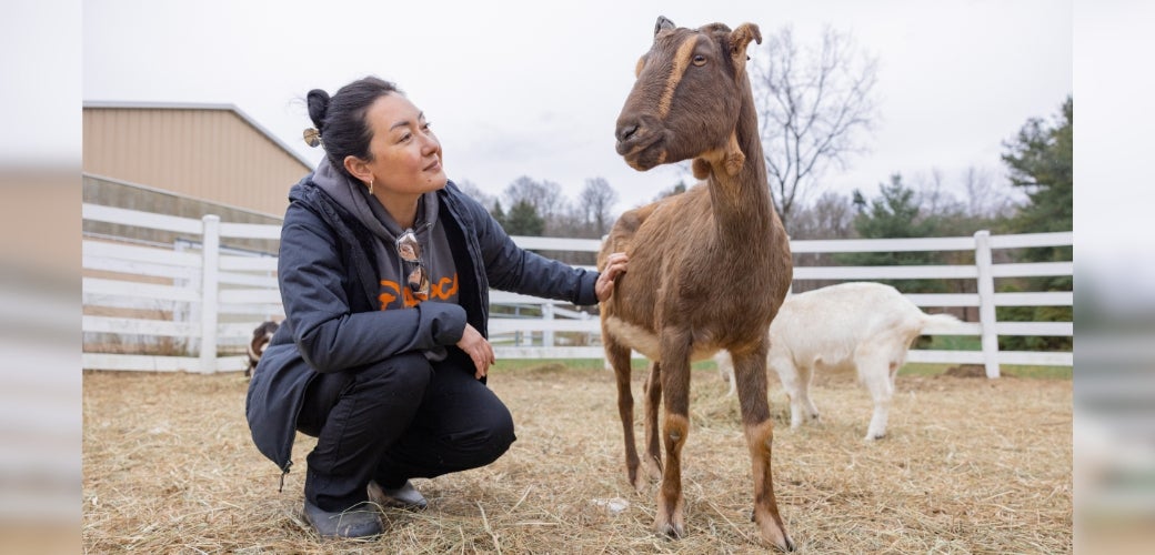 ASPCA Rescuer with goat