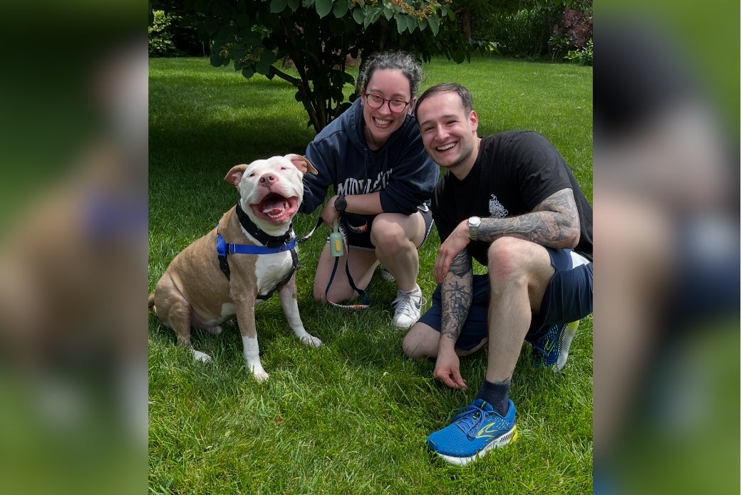 pit bull with new adopters