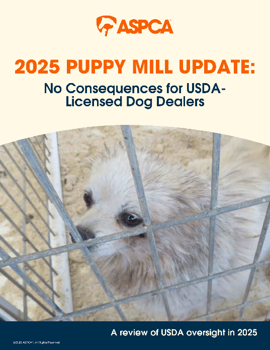 2025 USDA enforcement report cover