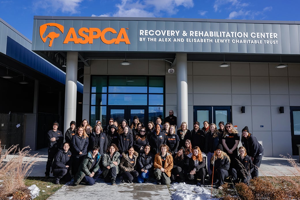 Your Exclusive First Look at the Impact YOU Made in 2025 | ASPCA