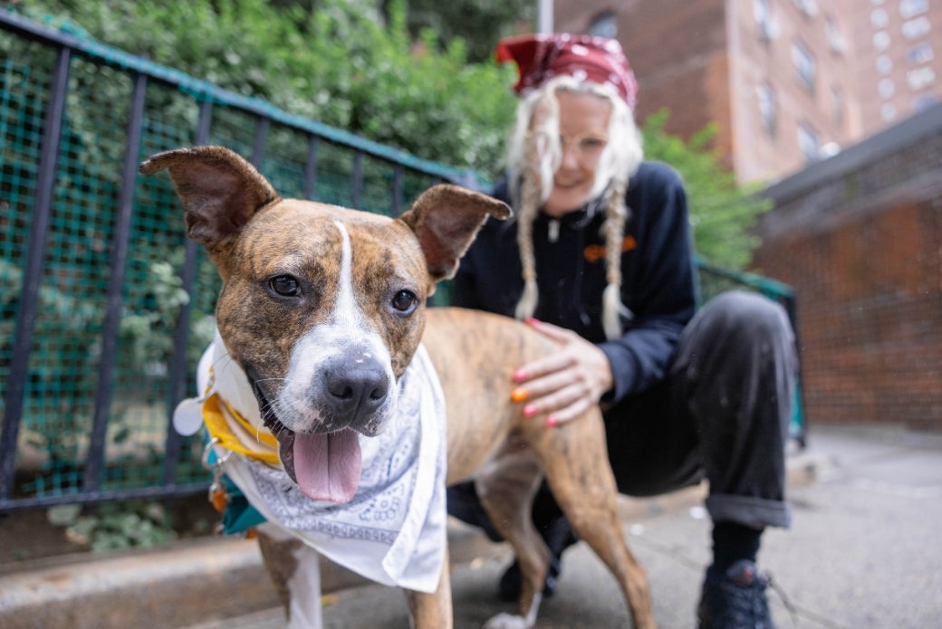 dog outside with ASPCA staff member