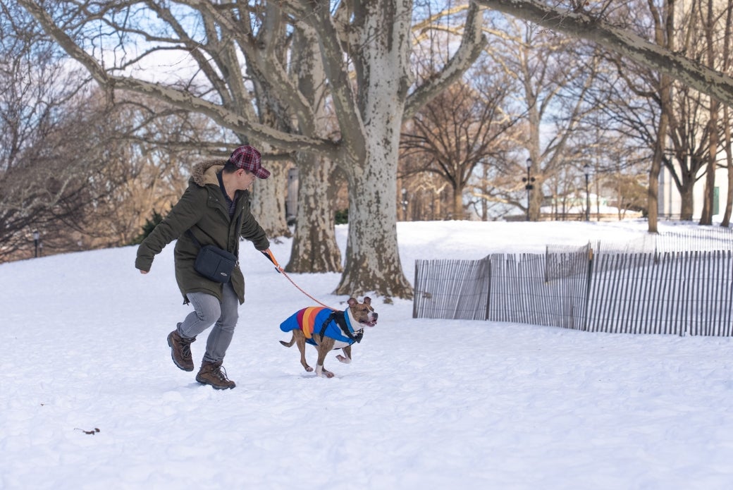 dog and her adopter running outside in the snow