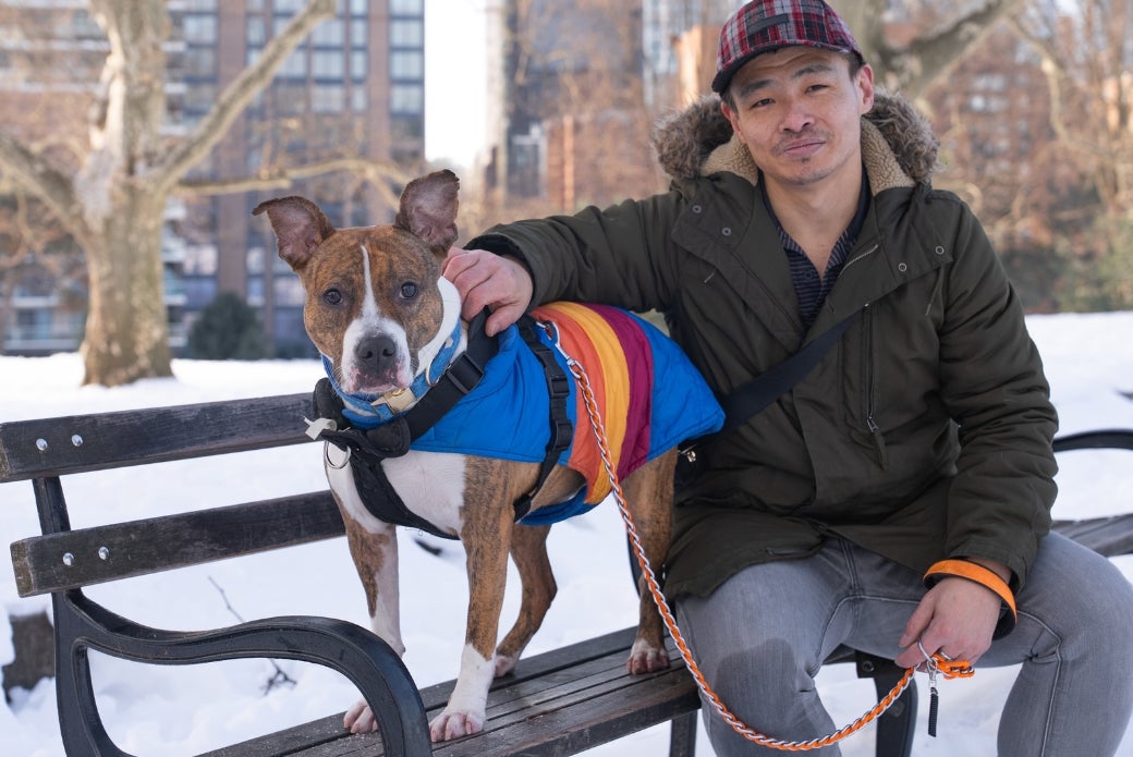dog sitting on a bench outside with her adopter