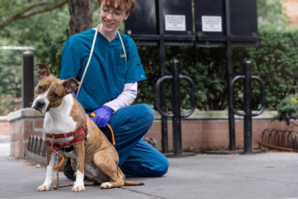 dog outside with ASPCA staff member