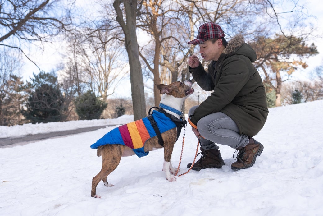 dog outside in the snow with her adopter