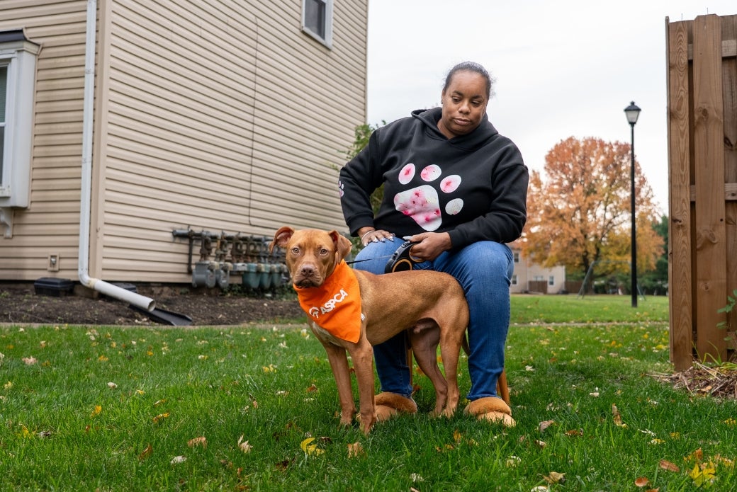 Felicia sitting in a chair holding ASPCA suspected dogfighting victim King on a leash