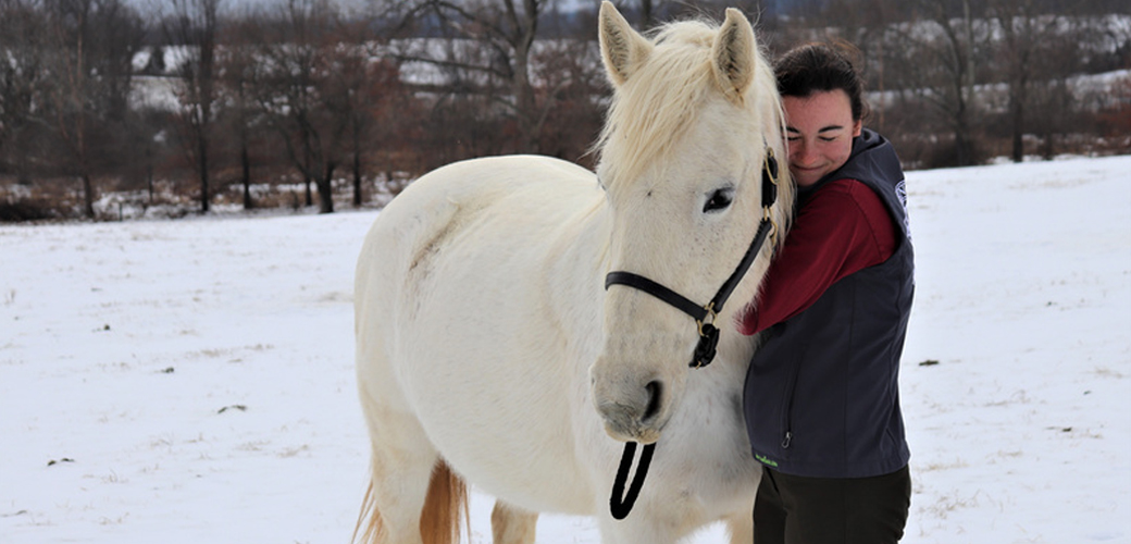 Girl hugging horse