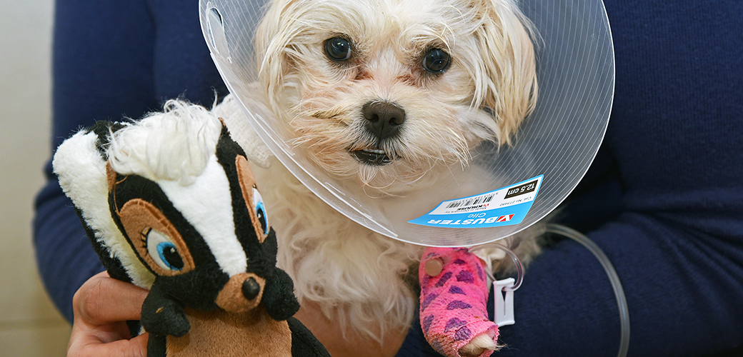 Leah during a visit from her family, who brought her favorite toy to the AAH.