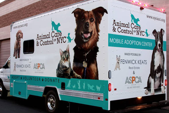 animal care and control