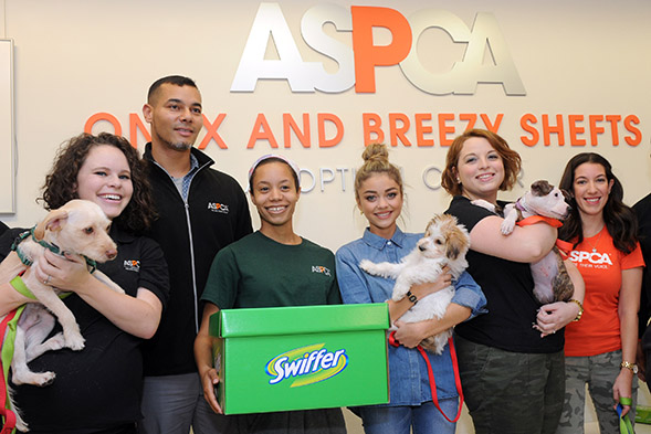 This week Modern Family’s Sarah Hyland and Swiffer launched a year-long campaign to support the ASPCA and help animals in need. Hyland toured the ASPCA Adoption Center and hosted a pet appreciation party in Manhattan
