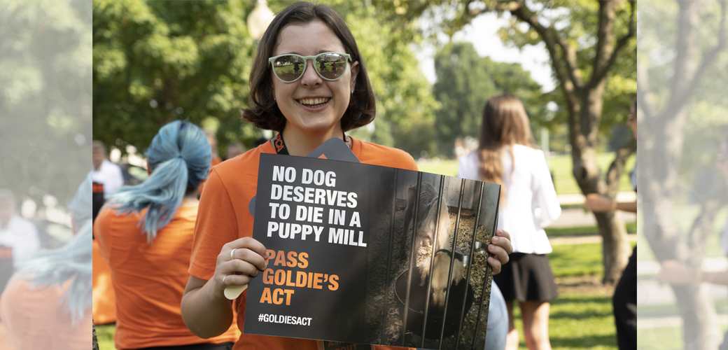 Woman holding Goldie's Act sign