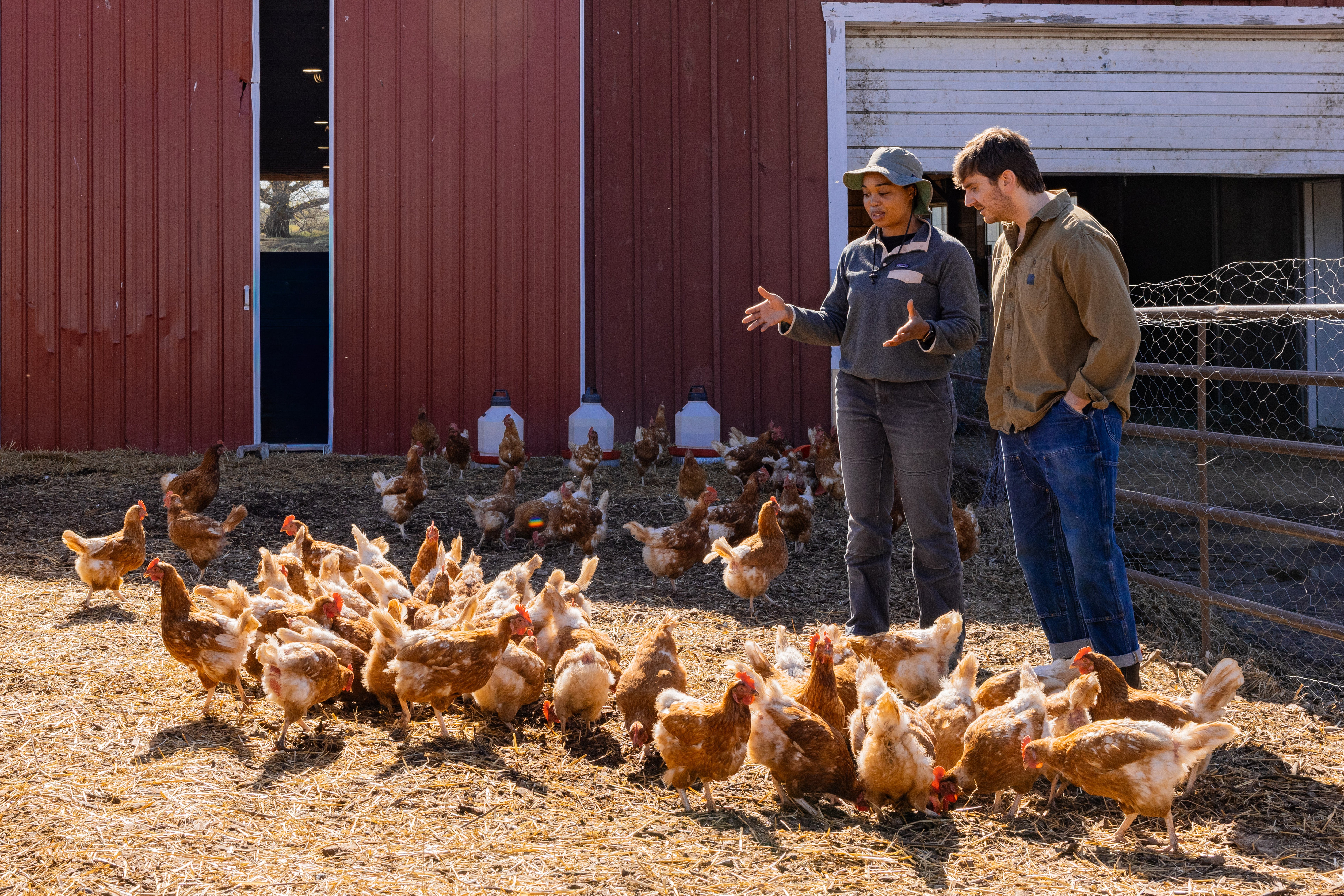 Farmer showing ASPCA employee chickens on pasture