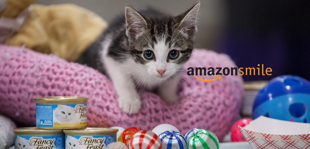 Kitten on a pink cushion with catfood and the amazon smile logo 