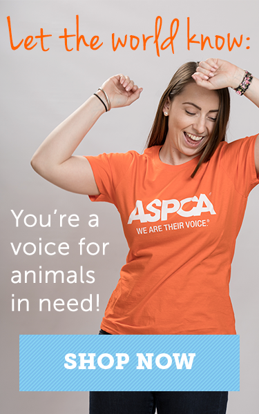 aspca spaying