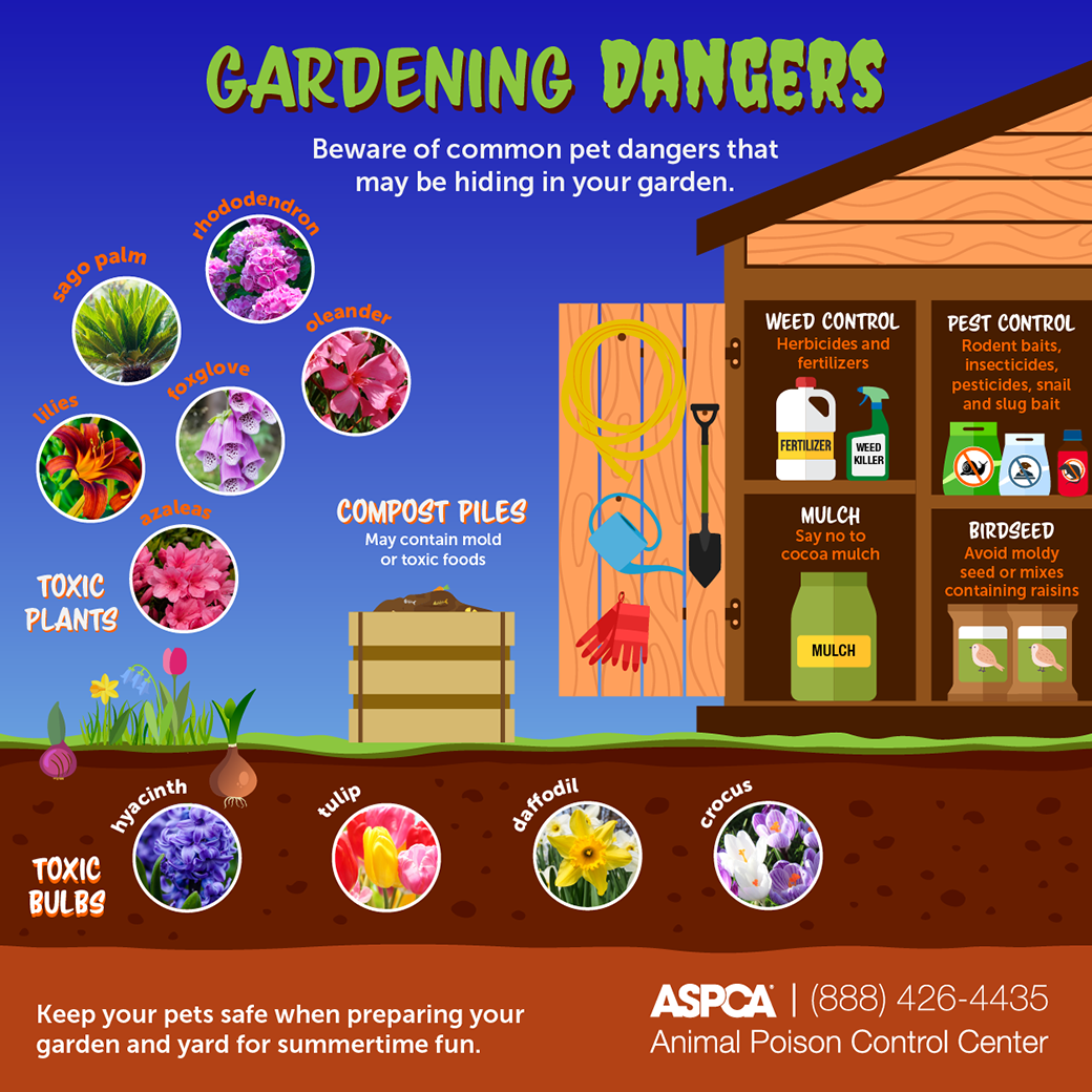 gardening dangers infographic