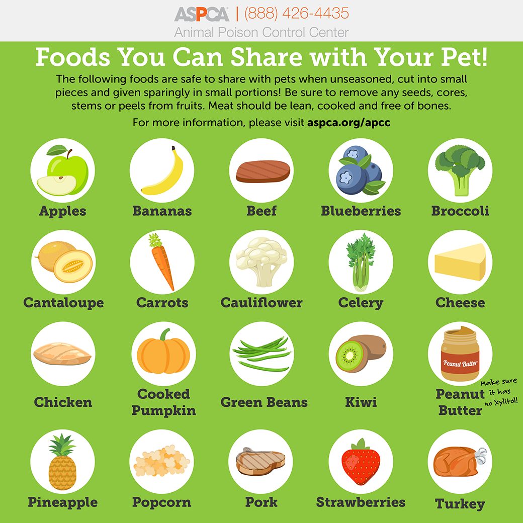 food infographic