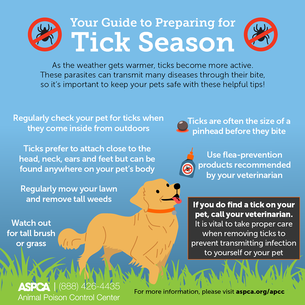 Your Guide to Preparing for Flea and Tick Season ASPCA