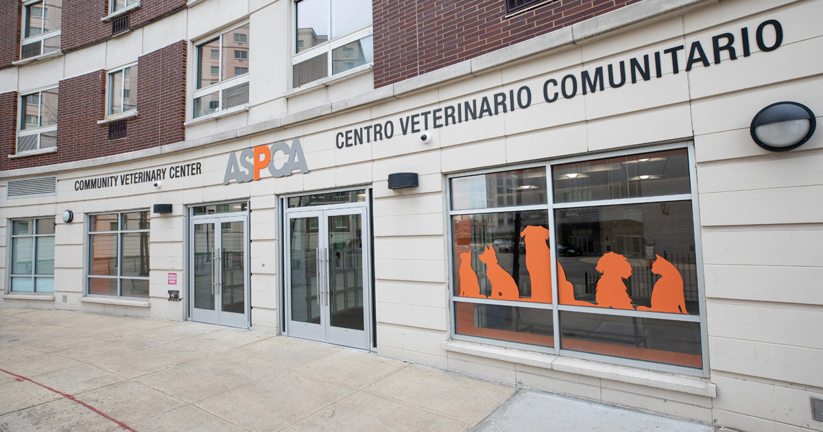 Aspca Bronx Community Veterinary Center Cvc Aspca
