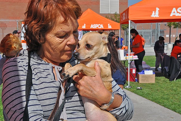 aspca clinic