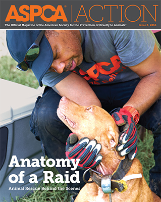 ASPCA Action Issue #3, 2016