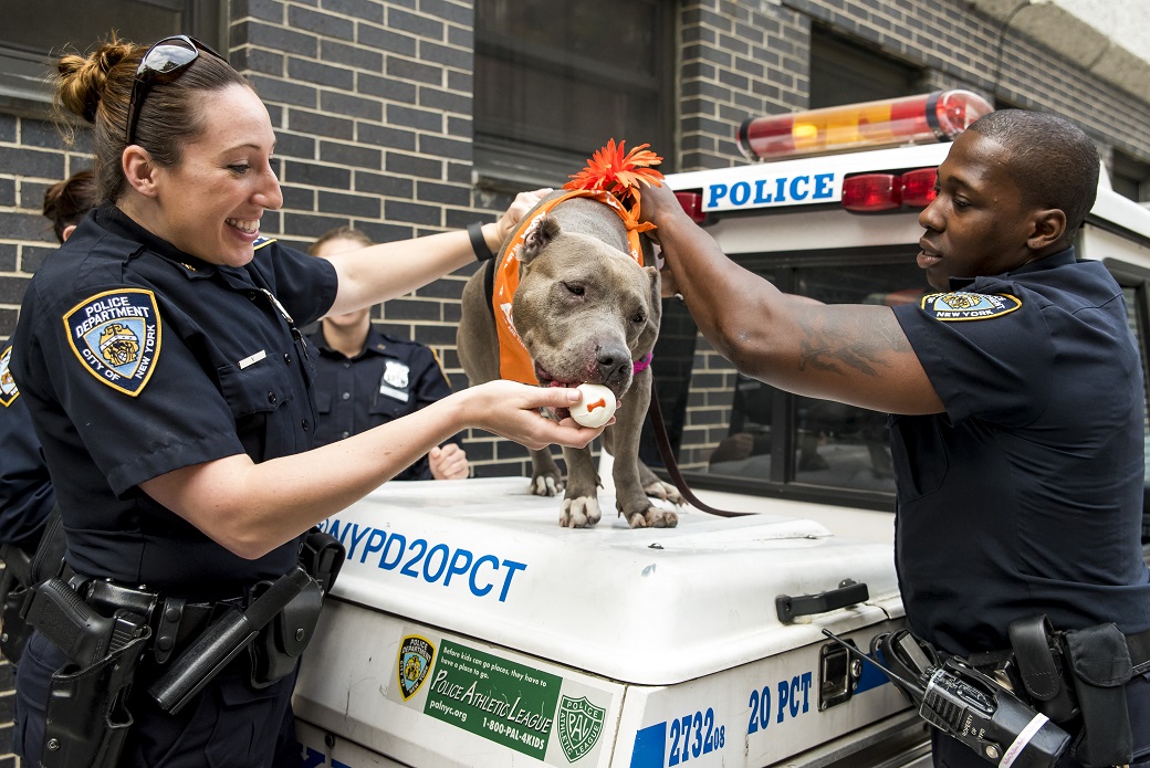 NYPD officer giving jamie a treat