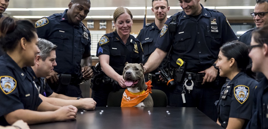 Jamie with the NYPD