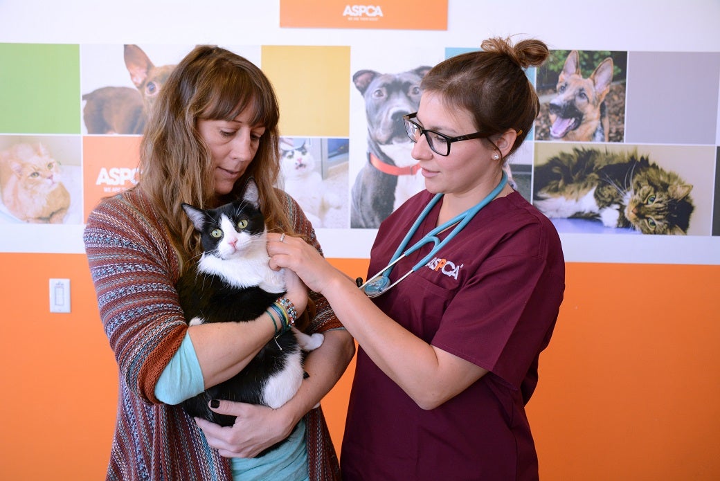 Lamb was the recipient of the 20,000th spay/neuter operation in L.A. 